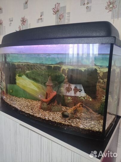 Аквариум+ шкафчик- тумба под аквариум