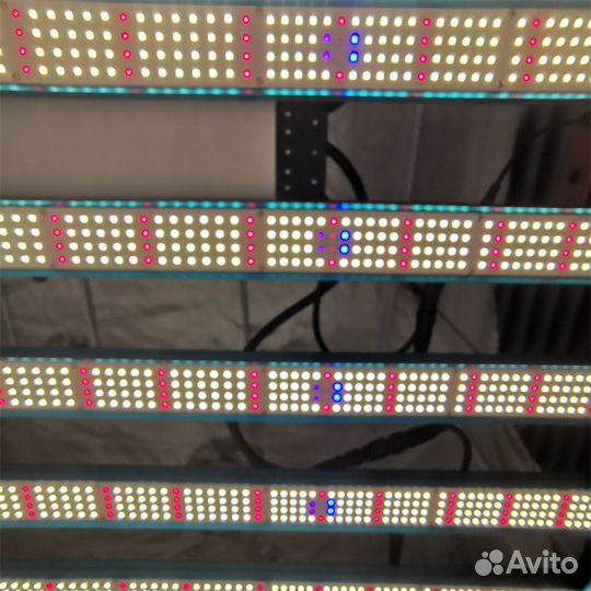 Quantum Board 800 Вт Samsung LM301H+UV IR