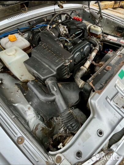 Двежок красер