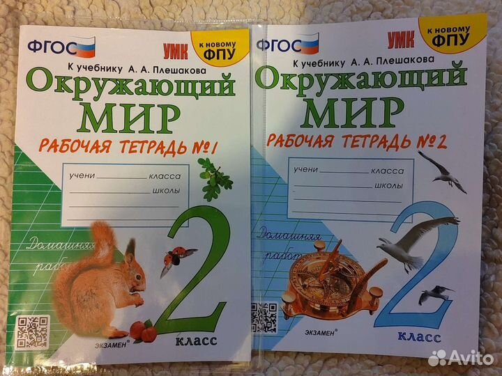 Рабочие тетради. Окружающий мир. 2 класс