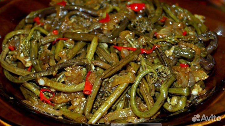 Папоротник Орляк