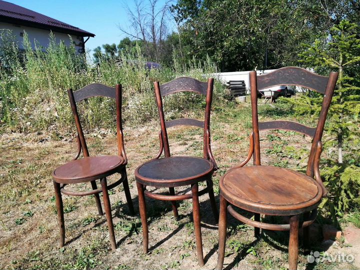 Стулья венские 19 век