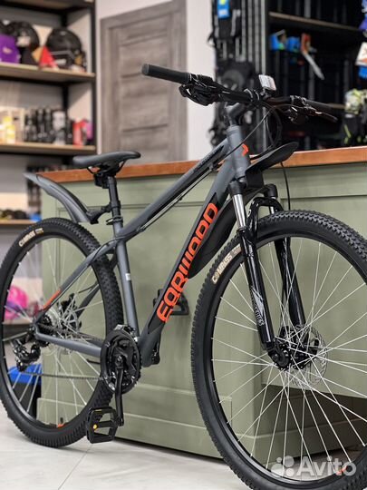 Forward Apache 29 2.0 Classic 2023