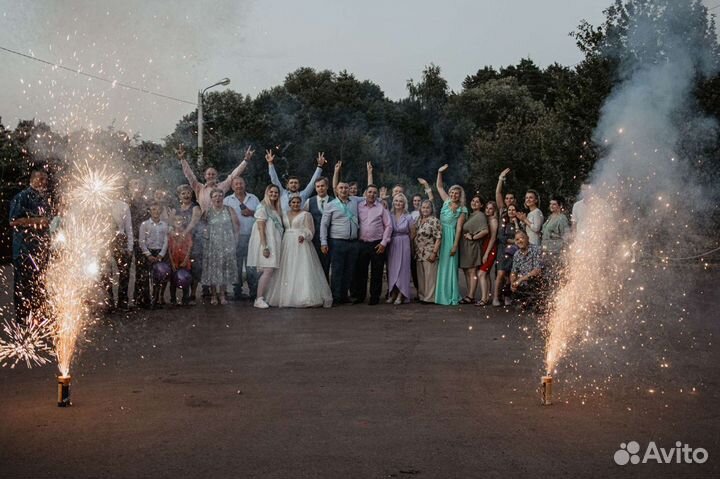 Ведущий на свадьбу / тамада
