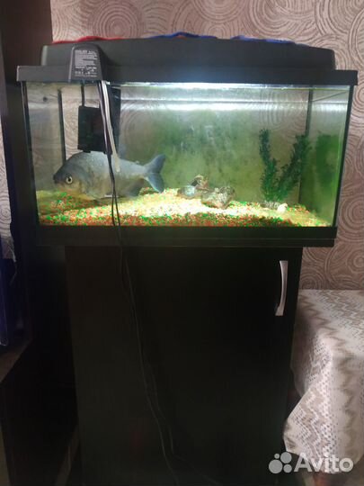 Аквариум с тумбой