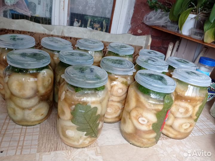 Грибы Грузди солёные холодным посолом