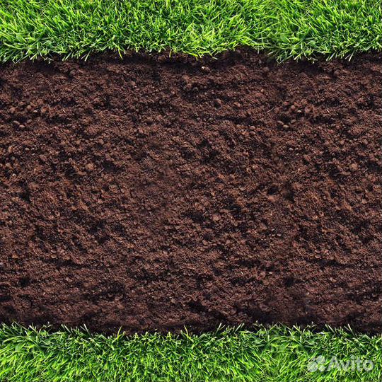 Земля плодородная