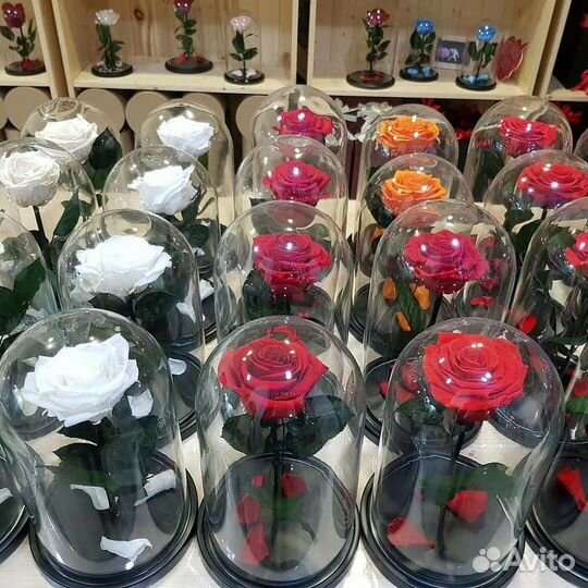 Роза в колбе premium