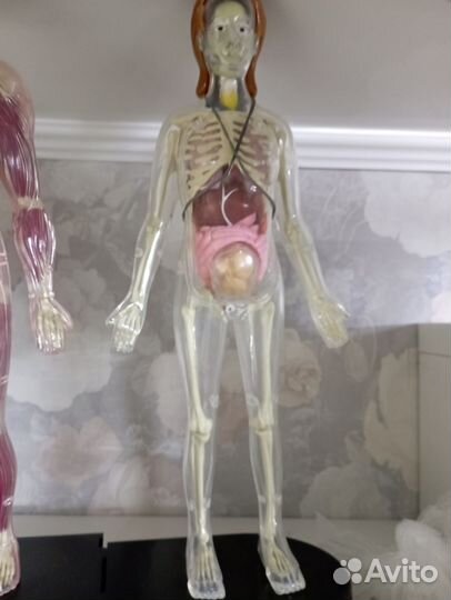 Сборник книг