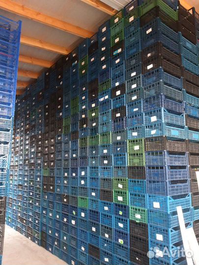 Пластиковые ящики тара для фруктов и овощей