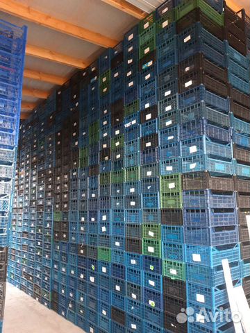 Пластиковые ящики тара для фруктов и овощей