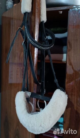 Оголовье для лошади