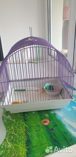 Клетка для попугая