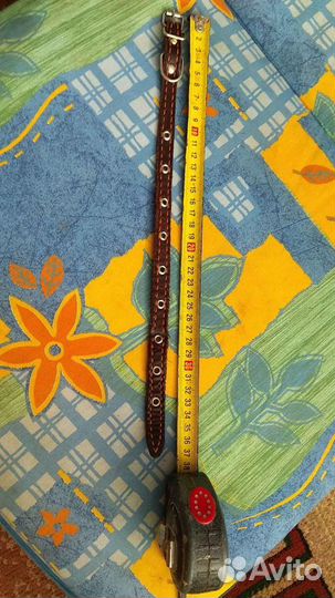 Ошейник для собак