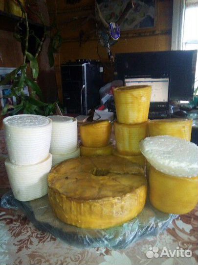Козий сыр и молоко