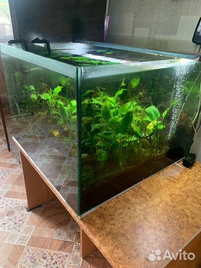 Аквариум
