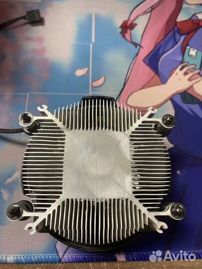 Кулер для процессора amd