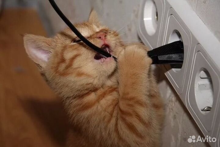 Сварка оптики волс