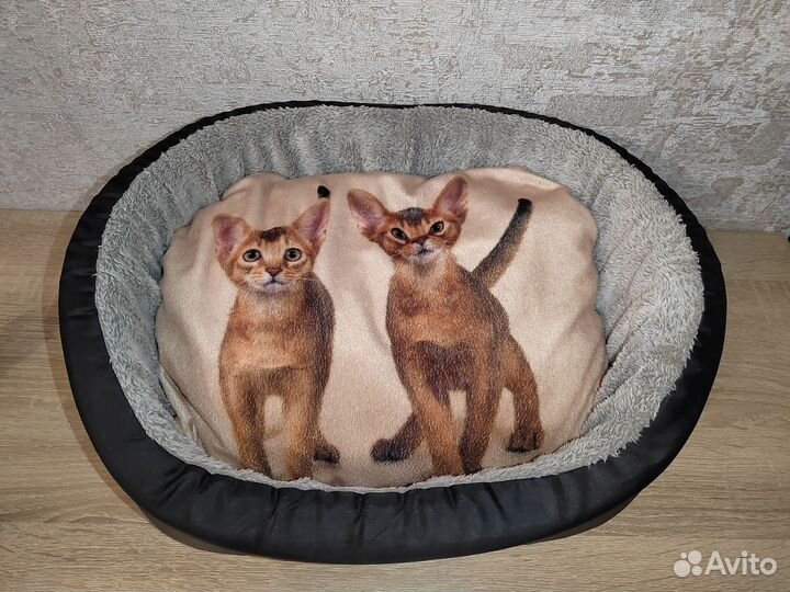 Лежанка для абиссинца