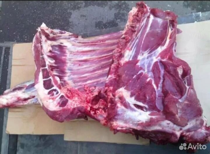 Продам мясо говядина