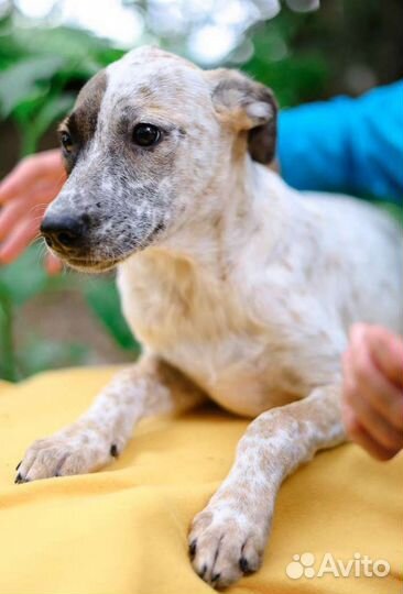 Малышка грустит