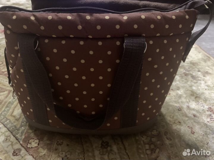 Переноска и одежда для маленькой собаки