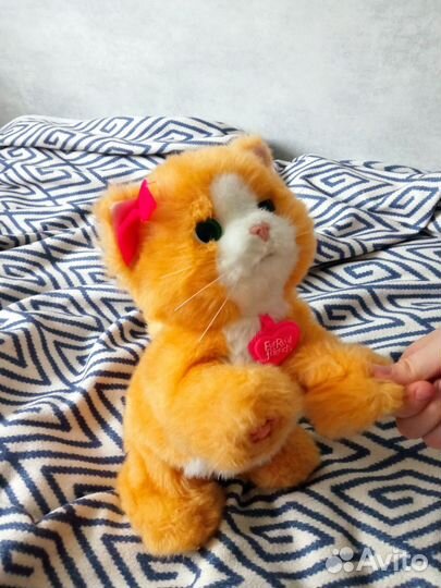 Интерактивная кошка