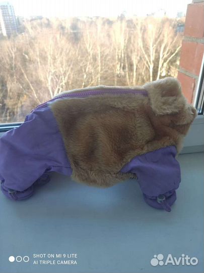 Одежда для маленьких собак