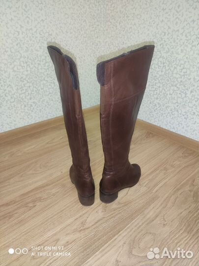 Сапоги женские