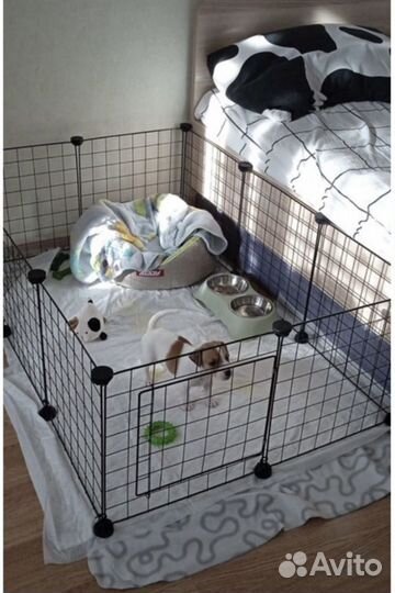 Вольер для собак