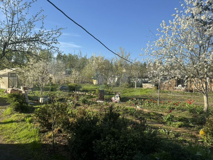 Дом 60 м² на участке 15 сот.