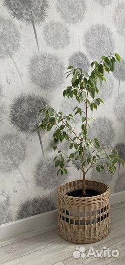 Плетеная корзина для хранения интерьерная