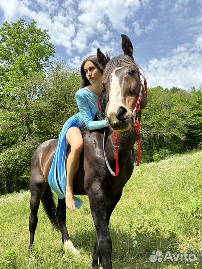 Конные прогулки с трансфером без посредников