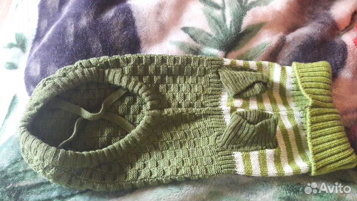 Одежда для собак