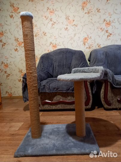 Когтеточка для кошек