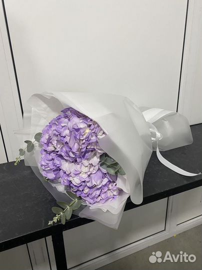 Гортензия