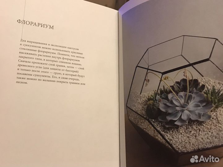 Книга о кактусах и суккулентах