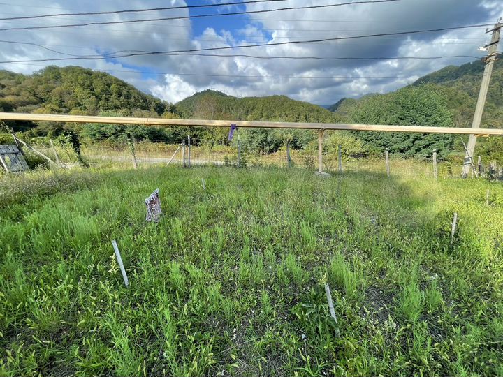 Участок 6 сот. (ИЖС)