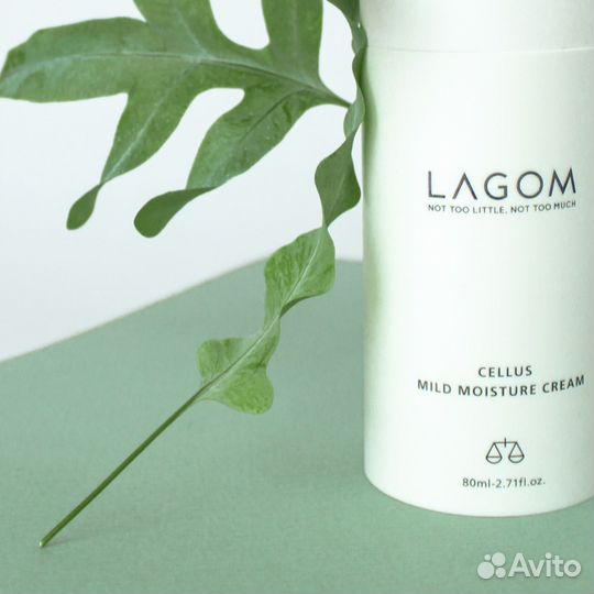 Предметная фотосъемка