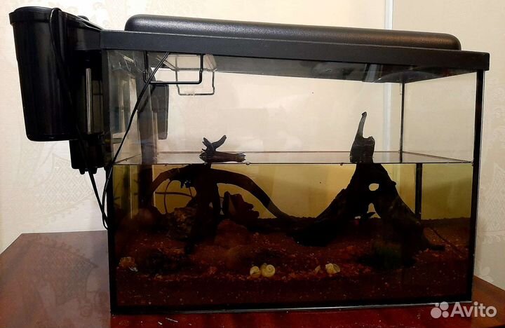 Аквариум