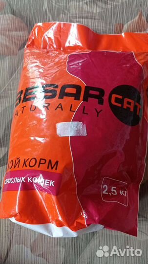 Сухой корм для взрослых кошек