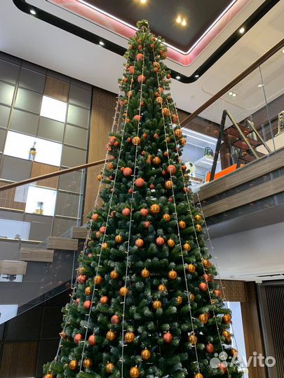 Елка большая