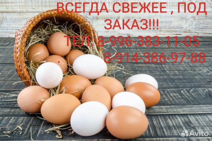 Яйцо домашнее