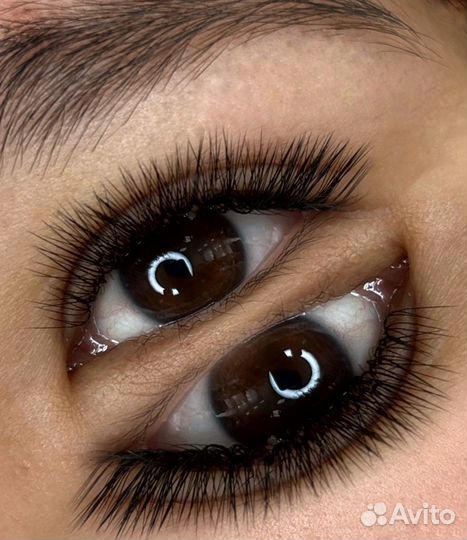 Наращивание/ламинирование ресниц + брови