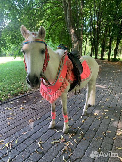 Катание детишек