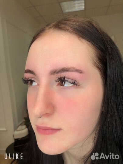 Мастер бровист