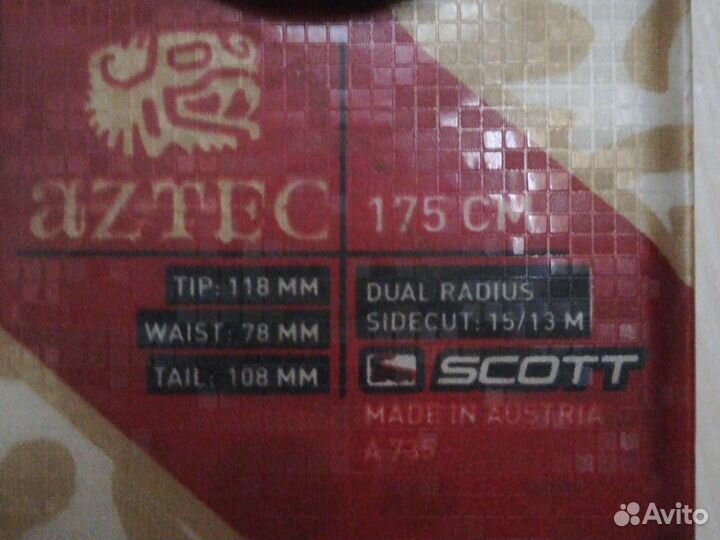 Горные лыжи