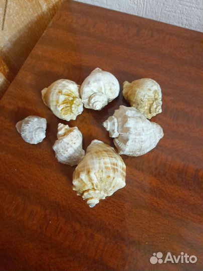 Аквариумные аксесуары