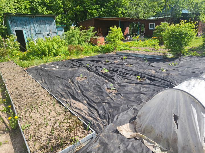 Дача 33,1 м² на участке 4,4 сот.