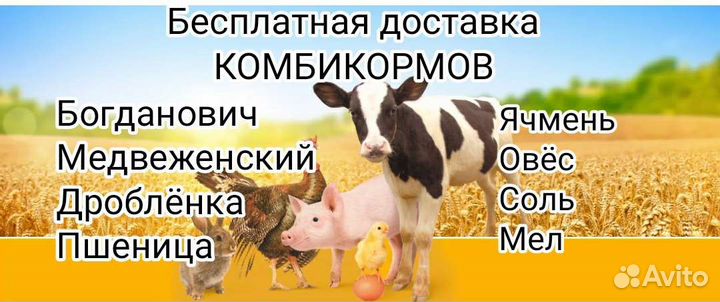Зерно, комбикорма, Богданович